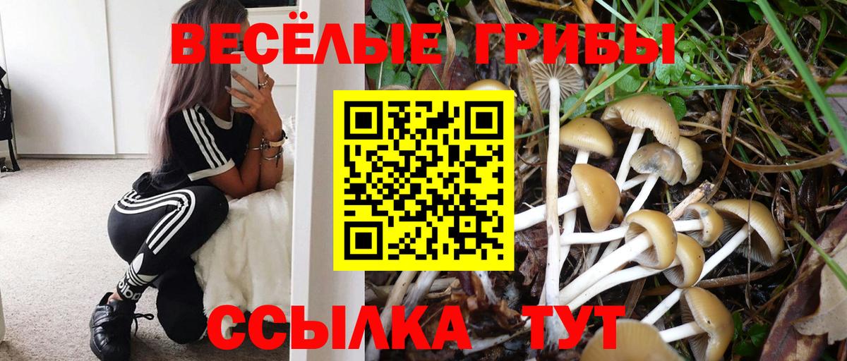 Галлюциногенные грибы GOLDEN TEACHER  Вход с VPN  Электрогорск 