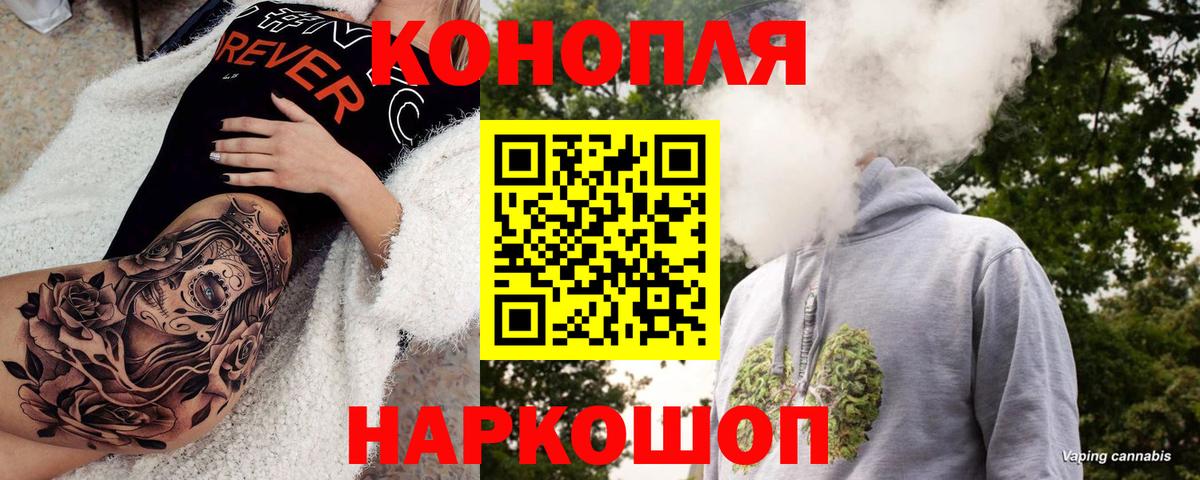 Шишки марихуана сатива  Вход с VPN  Марихуана планчик  Электрогорск  МАРИХУАНА VHQ  МАРИХУАНА семена 